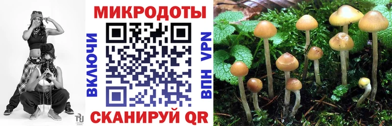 Псилоцибиновые грибы GOLDEN TEACHER  Неман 