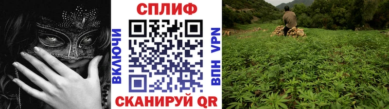 Конопля AK-47  где купить наркоту  Неман 